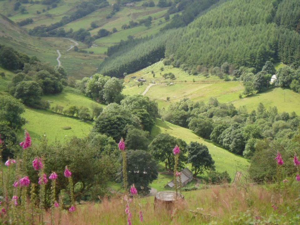 Villa Glyn Mawr Barn Bala Esterno foto